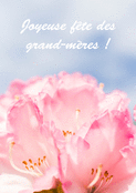 Fleur de printemps pour ma grand-m&egrave;re